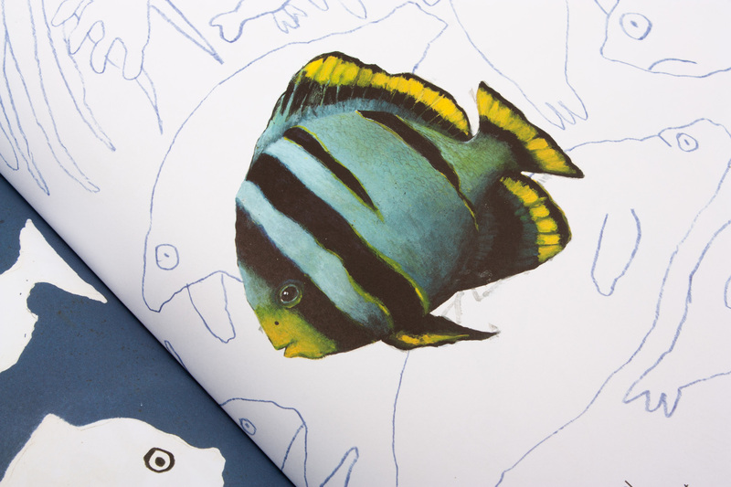 Onderwater tekenen, krabbelen en kleuren met Carll Cneut 4