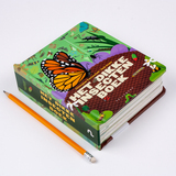 Het dikke insectenboek 3