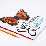 Vlinders tekenen, krabbelen en kleuren 2