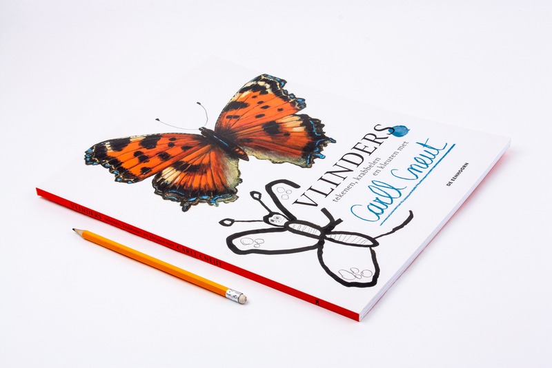 Vlinders tekenen, krabbelen en kleuren 2