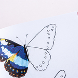 Vlinders tekenen, krabbelen en kleuren 3