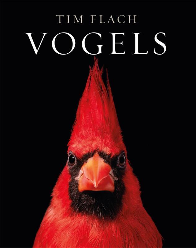 Omslag van boek: Vogels