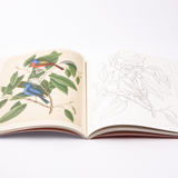 Marc Catesby Botanisch natuurkleurboek 3