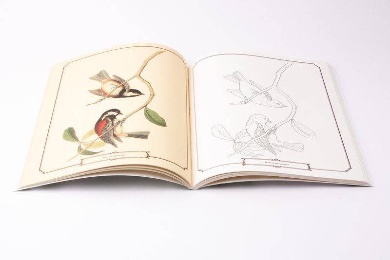Audubon vogels kleurboek 3