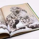 Het allermooiste boek over wilde dieren 4