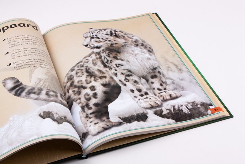 Het allermooiste boek over wilde dieren 4