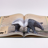 Het allermooiste boek over wilde dieren 5