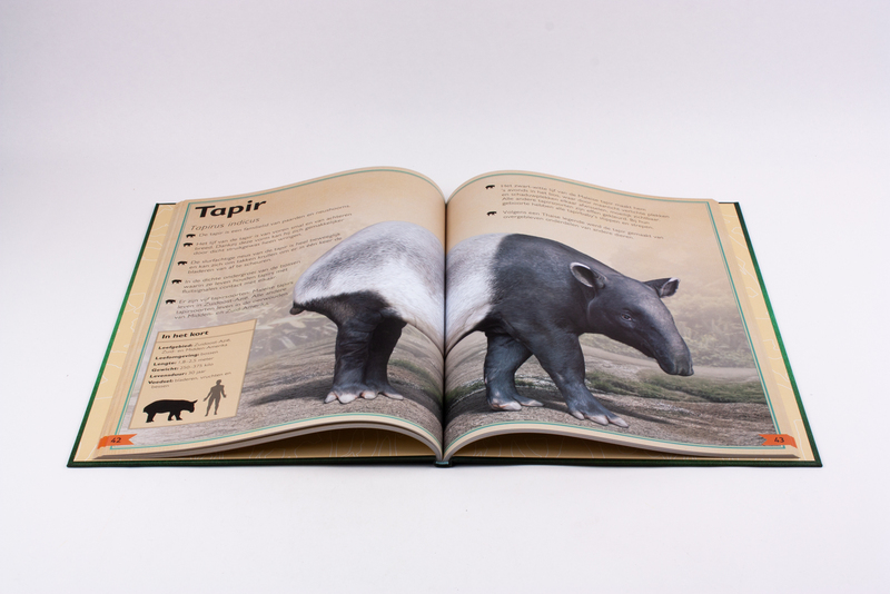 Het allermooiste boek over wilde dieren 5