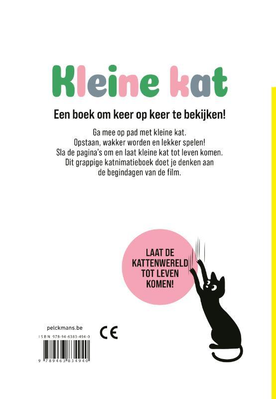 Kleine kat 2