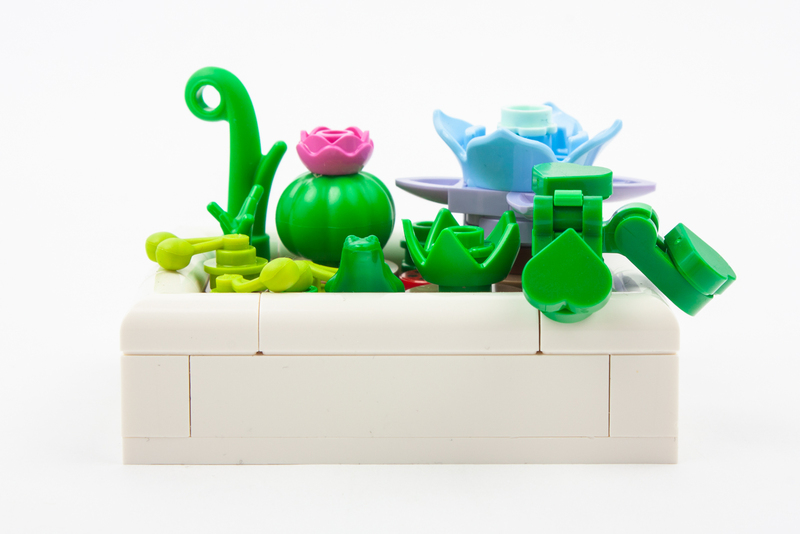 Lego Botanicals: Mini-woestijntuin 4