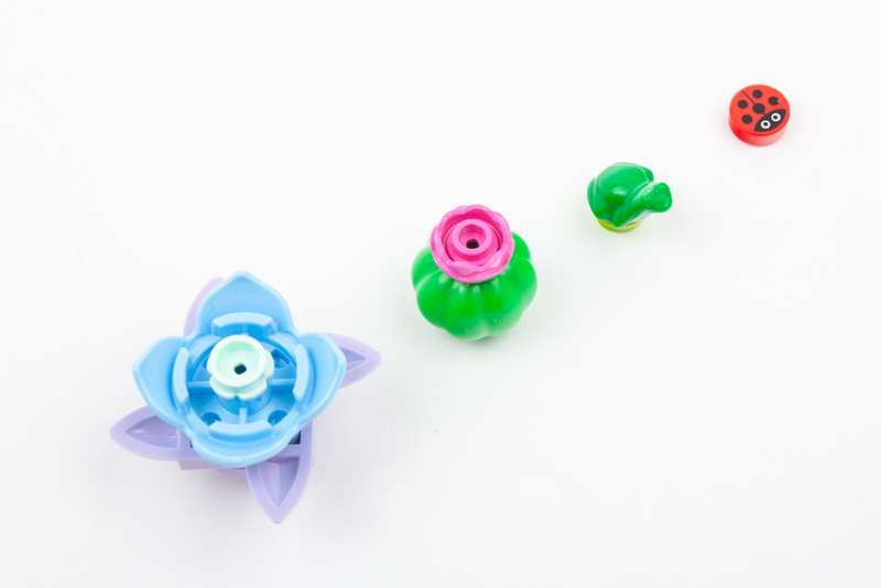 Lego Botanicals: Mini-woestijntuin 5