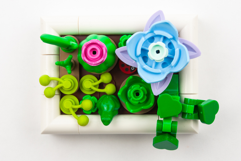 Lego Botanicals: Mini-woestijntuin 6