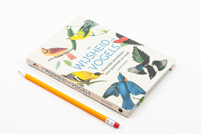 De wijsheid van vogels 2