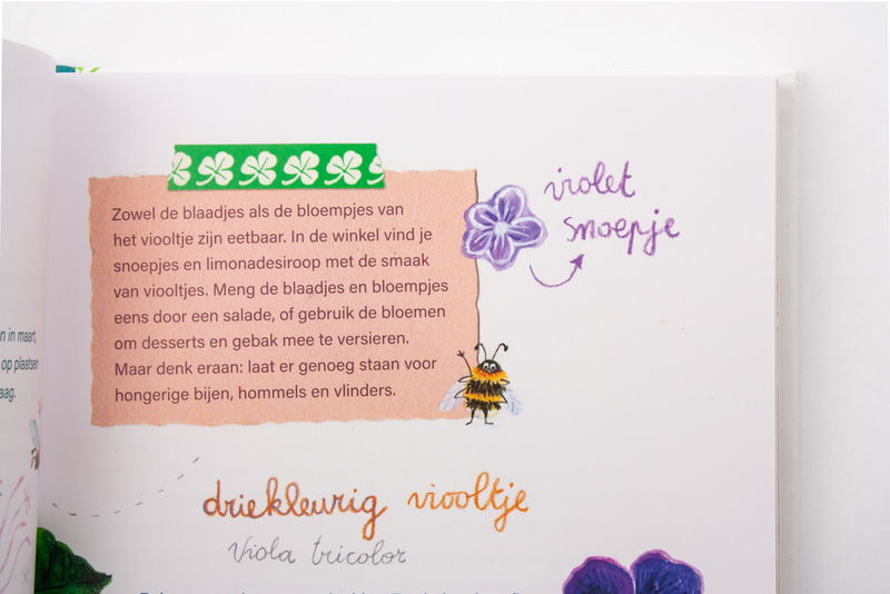 Het grote bloemenboek 6