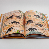 Het buitengewone beesten boek 4