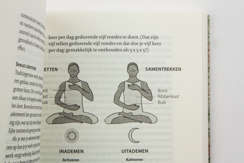 Gezonder en langer leven met Ayurveda 4