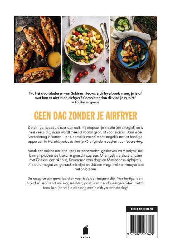 Het airfryerboek 2