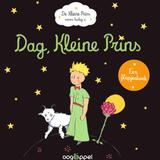 Dag, Kleine Prins 1