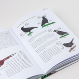 Het bosboek 5