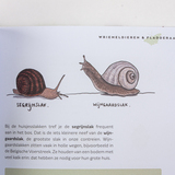 Het bosboek 6