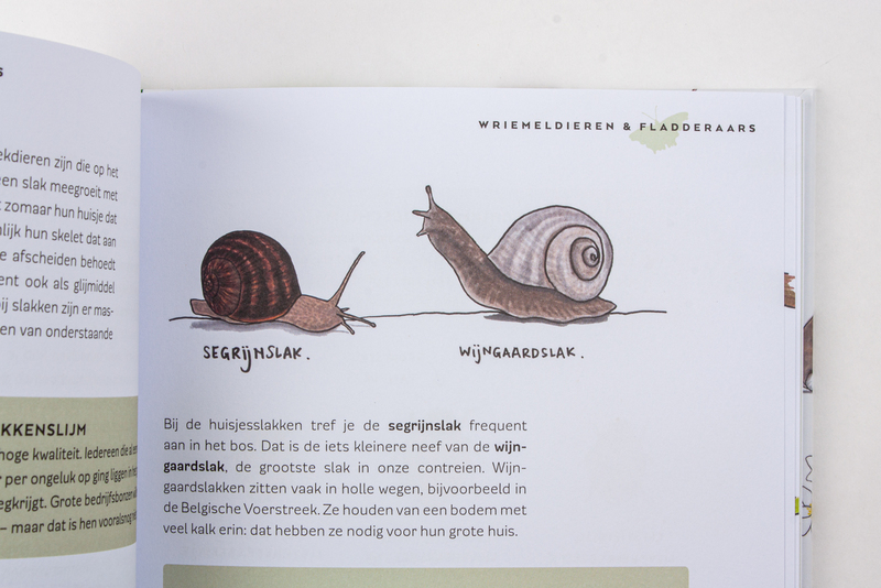 Het bosboek 6
