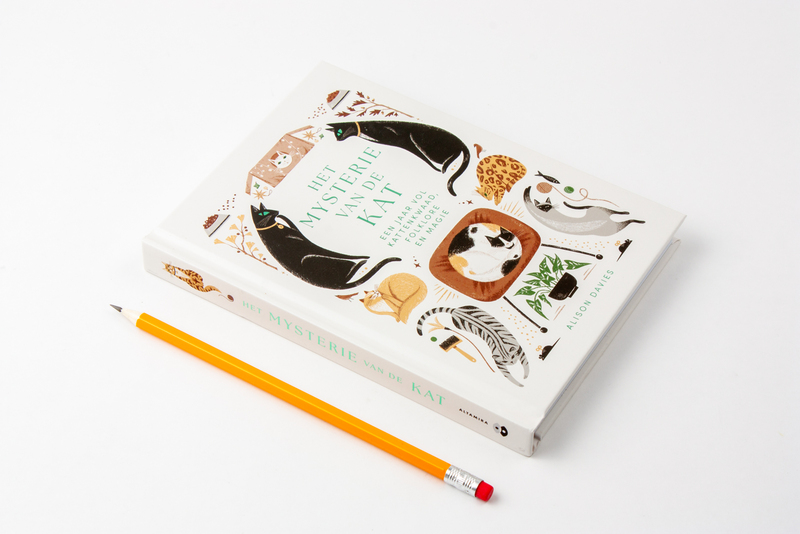 Het mysterie van de kat 3