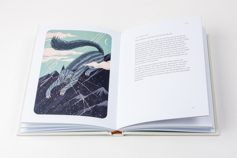 Het mysterie van de kat 4