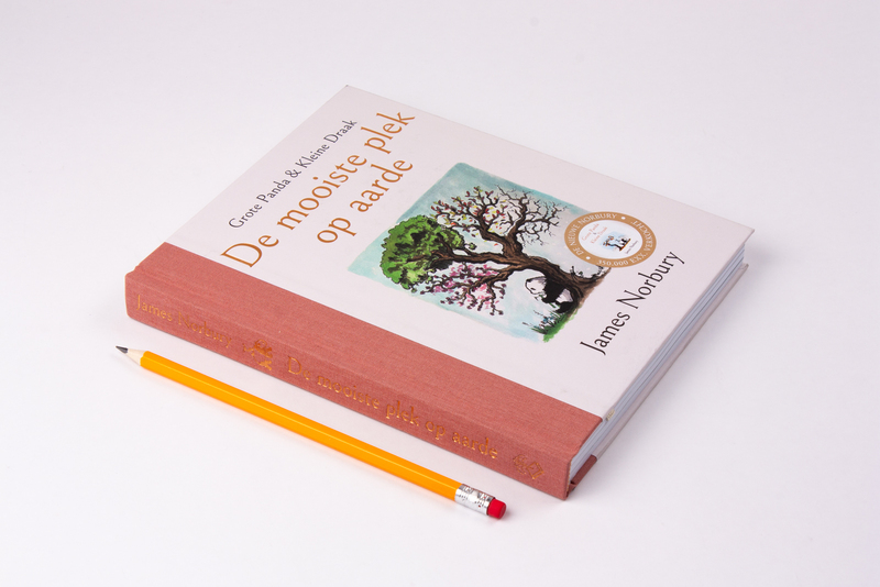 Grote Panda & Kleine Draak - De mooiste plek op aarde 3