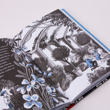 Geesten in het landhuis 6