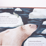 Poepen beren in het bos? 7