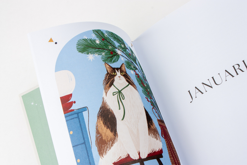 Het mysterie van de kat 5