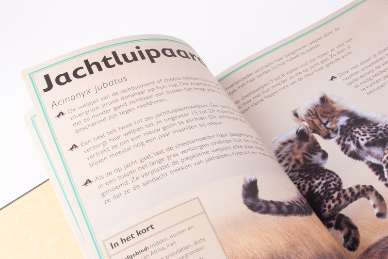 Het allermooiste boek over babydieren 4