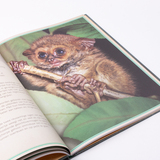 Het allermooiste boek over babydieren 6