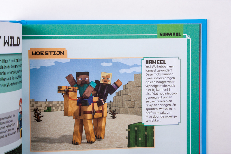 Minecraft voor beginners 7