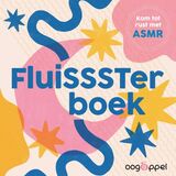 FluiSSSTerboek 1