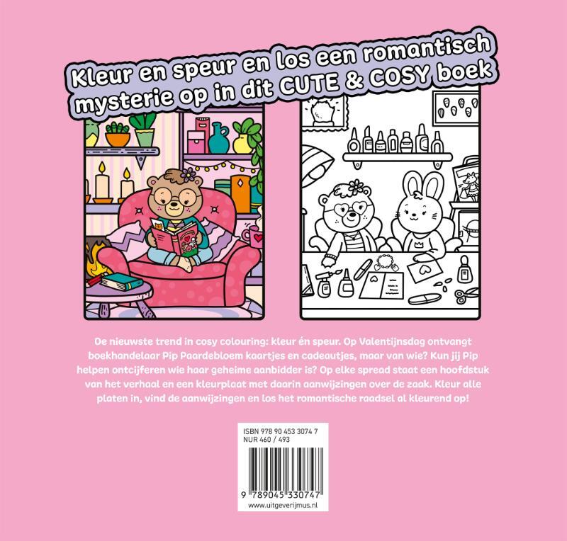 Kleur en speur: De geheime aanbidder 2