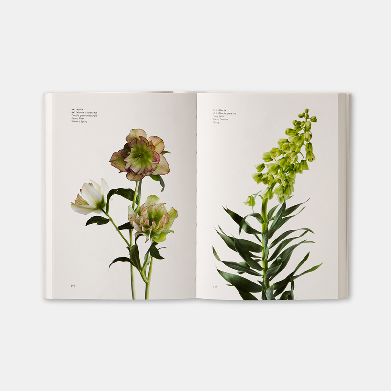 Flower Colour Guide 3