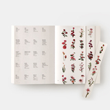 Flower Colour Guide 8