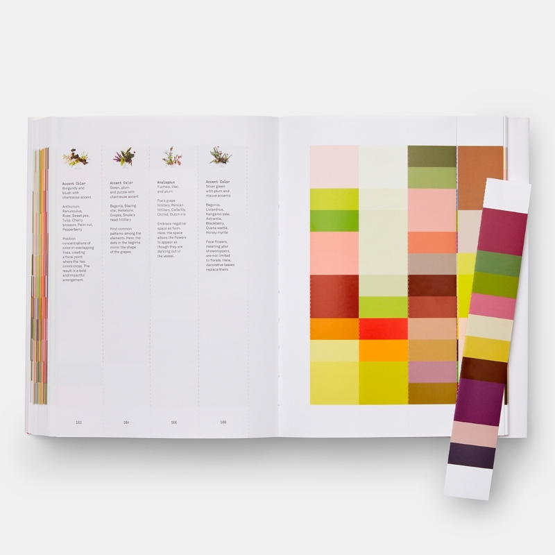 Flower Colour Theory 7