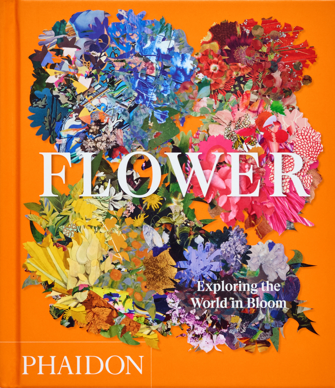 Omslag van boek: Flower