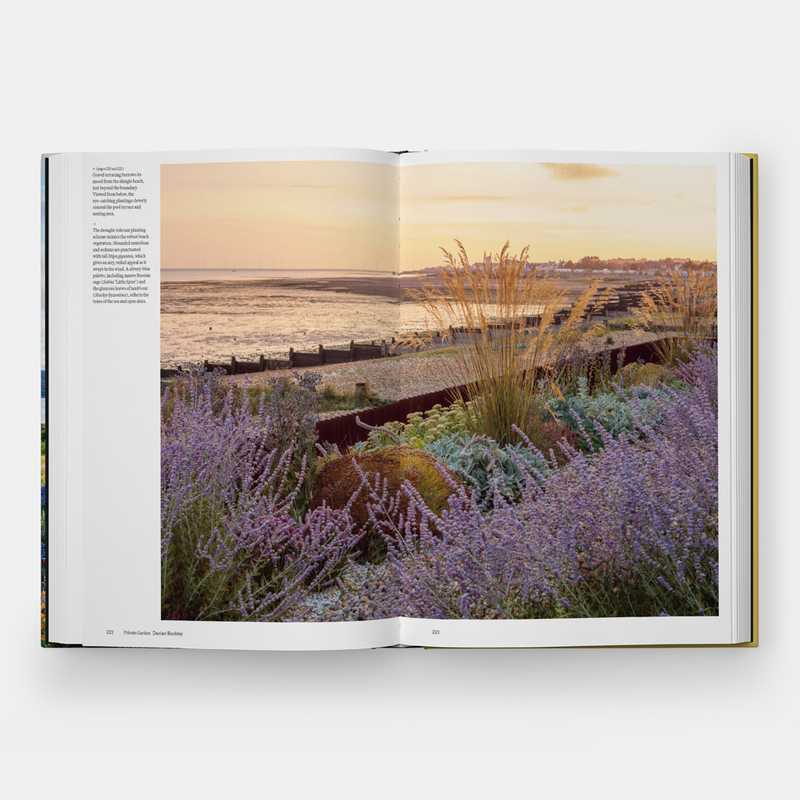 The Coastal Garden 7