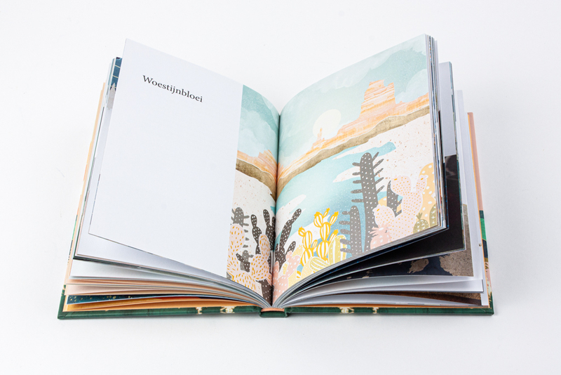 Ochtendmeditaties 5