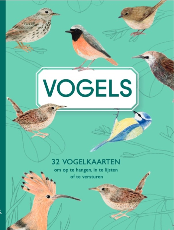 Omslag van boek: Vogels