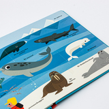 Oceanen. Een pop-upboek 4