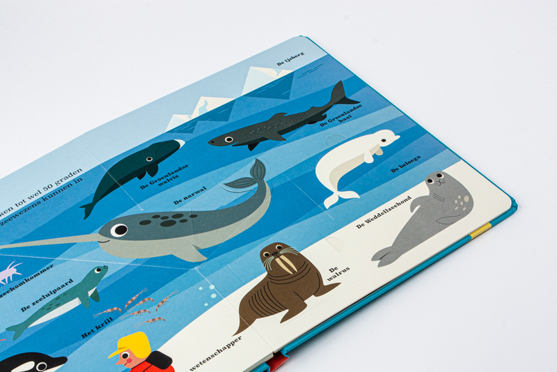 Oceanen. Een pop-upboek 4