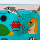 Oceanen. Een pop-upboek 5