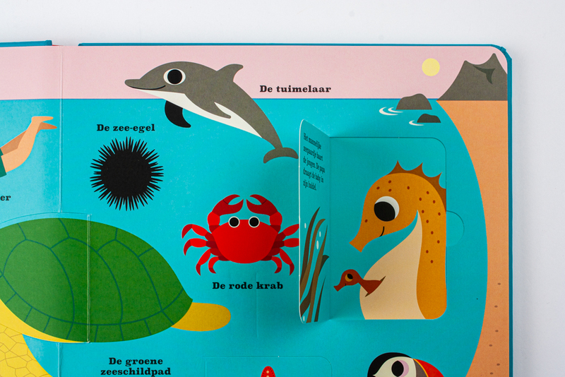 Oceanen. Een pop-upboek 5