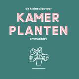 De kleine gids voor kamerplanten 1