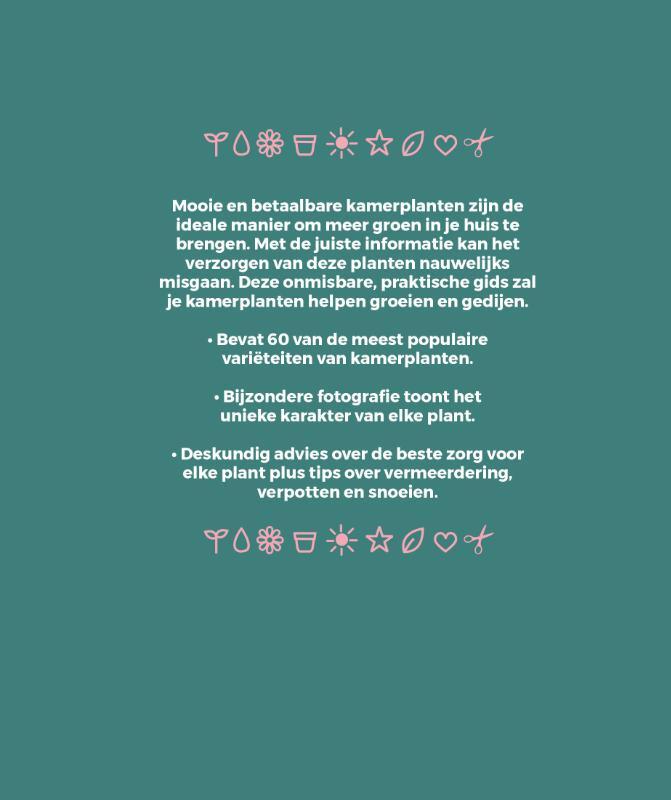 De kleine gids voor kamerplanten 2