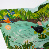 24 unieke vogelgeluiden & liedjes 4